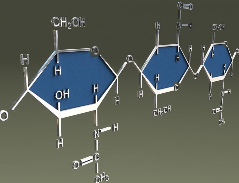 Chitin - Otto Alliance