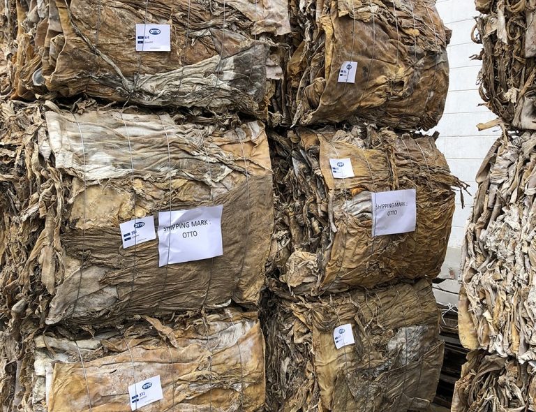 Dry Bovine Hide Otto Alliance