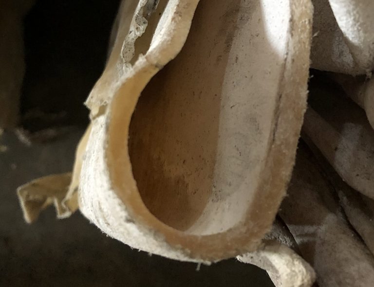 Dry Bovine Hide Otto Alliance