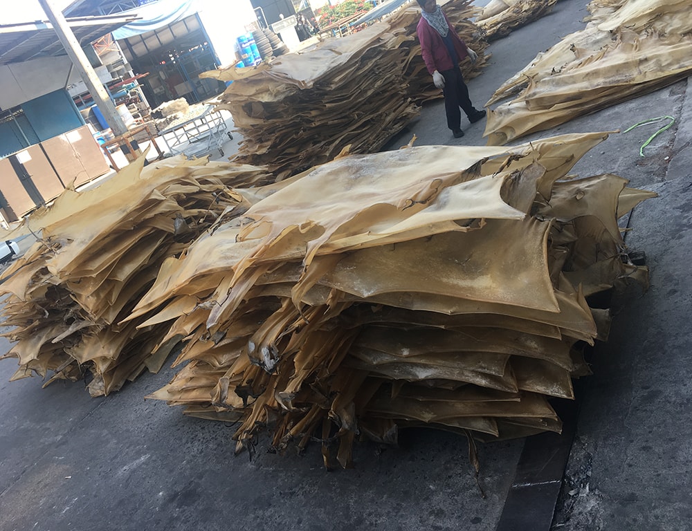 Dry Bovine Hide Otto Alliance